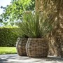 Snavelvormige Yucca in pot op terras